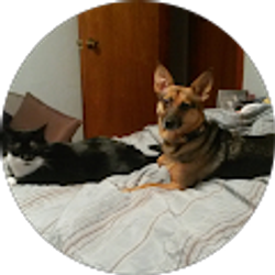 Profile photo of Beth West