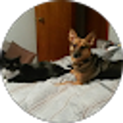 Profile photo of Beth West