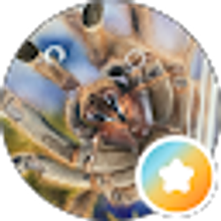Profile photo of Nicole Worker