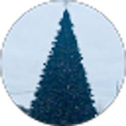 Profile photo of Ron