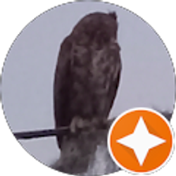 Profile photo of Parry Young