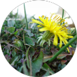 Profile photo of vanessa portillo