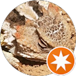 Profile photo of Robin Farmwoman