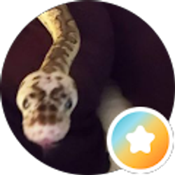 Profile photo of robin earle
