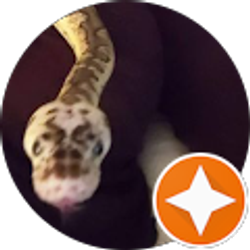 Profile photo of robin earle