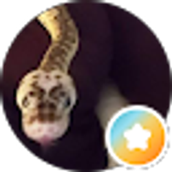 Profile photo of robin earle