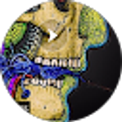 Profile photo of Travie Jones