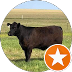 Profile photo of George Solis