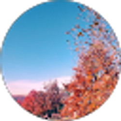 Profile photo of Mario Godoy