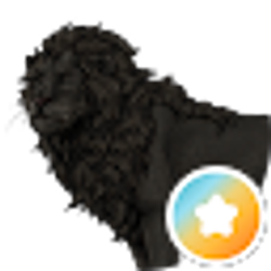 Profile photo of Larry Legend