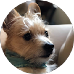 Profile photo of Perry