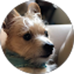 Profile photo of Perry