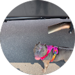 Profile photo of Guess Who