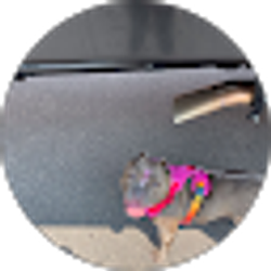 Profile photo of Guess Who