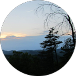 Profile photo of A Wiles