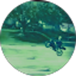 Profile photo of Dylan Adams