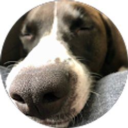 Profile photo of Derek V