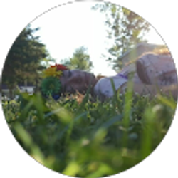 Profile photo of Amora Tachick