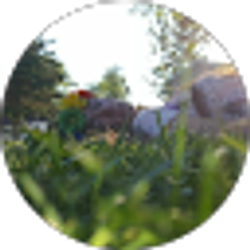 Profile photo of Amora Tachick