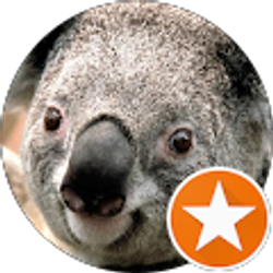 Profile photo of Daniel Dilley