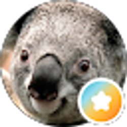 Profile photo of Daniel Dilley