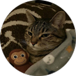 Profile photo of Uriel Rebolledo