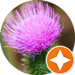 Profile photo of Cheryl Robinson