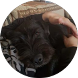 Profile photo of Ashton Rc (DarkSoulSlayer666)