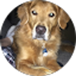 Profile photo of Jack Dinsmore