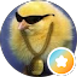Profile photo of Mo R