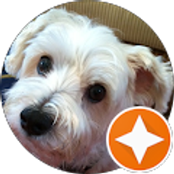 Profile photo of Marc Freidberg