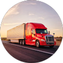 Profile photo of Nargiza