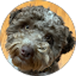Profile photo of Joy Axe