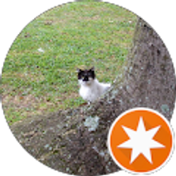 Profile photo of Ed Sills