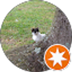 Profile photo of Ed Sills