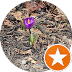 Profile photo of Elizabeth B