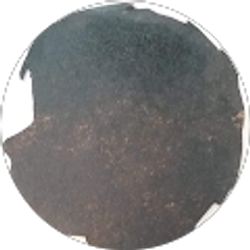 Profile photo of Brian Klepacz