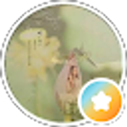 Profile photo of Jieyu Lin