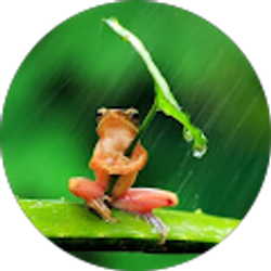 Profile photo of Carrie Carson