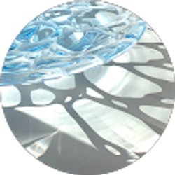 Profile photo of Michi W