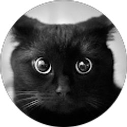 Profile photo of Keira Musal