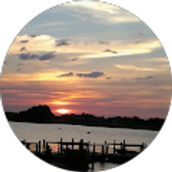 Profile photo of Pamela McKinnon