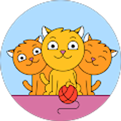 Profile photo of C Carr