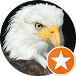 Profile photo of Super Camry