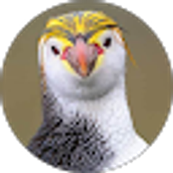 Profile photo of Steve Davis