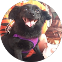 Profile photo of Megan Reed