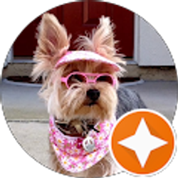 Profile photo of Karen Potts