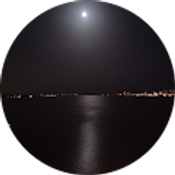 Profile photo of Tristan Harvey