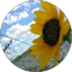Profile photo of Hunter Fulkerson