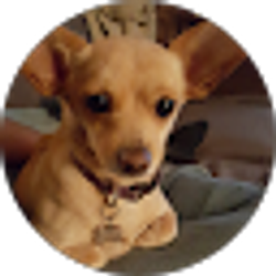 Profile photo of Sandor Korponai